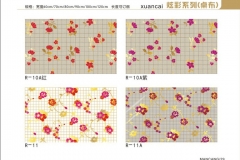 黑龙江炫彩-图册10