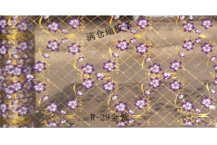 黑龙江R-29金紫
